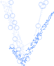 Veraxton verified mark
